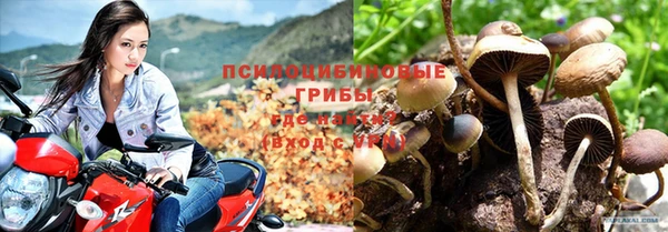 прущие крисы Аркадак