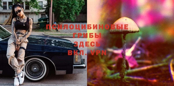 прущие крисы Аркадак