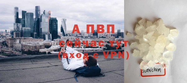 прущие крисы Аркадак