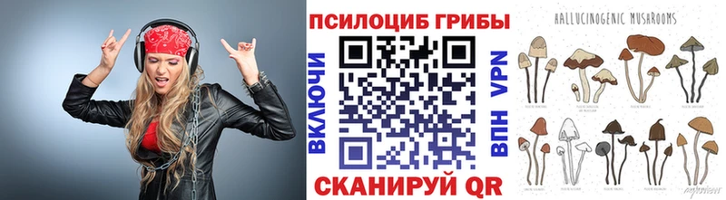 Галлюциногенные грибы мухоморы  Руза 